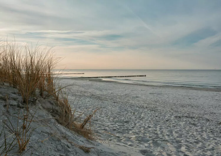 Une plage offrant une vue sur la mer baltique allemande