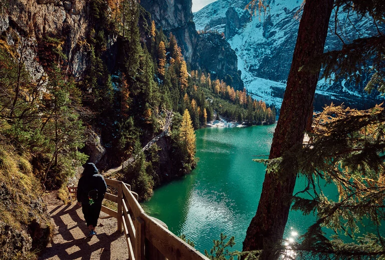 Un chemin de randonnée auprès d'un lac