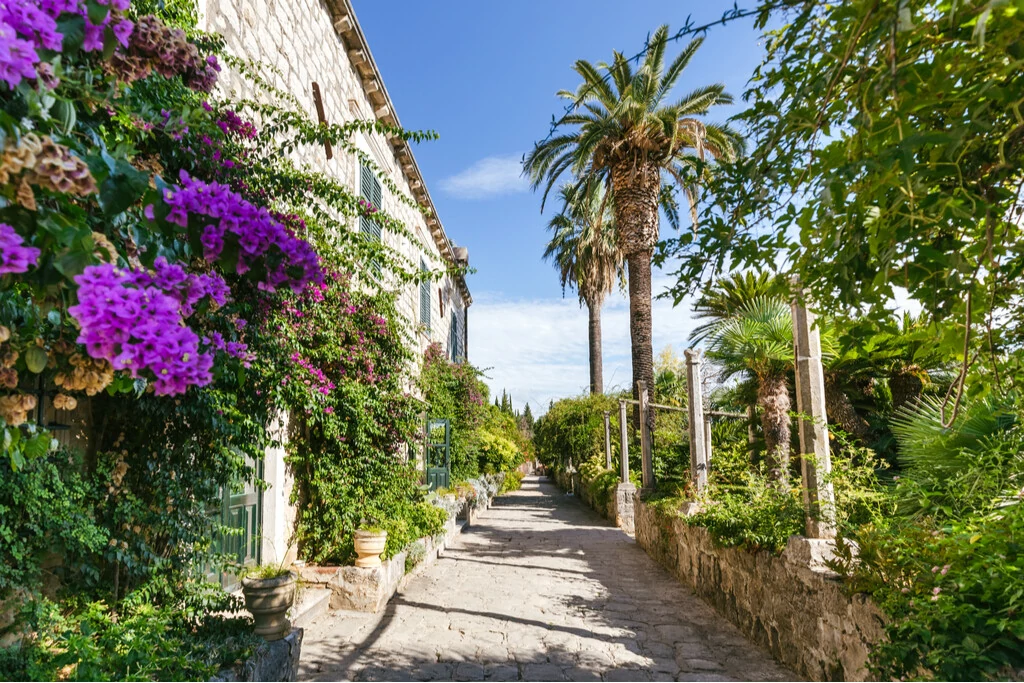 Jardin botanique Arboretum Trsteno Dubrovnik