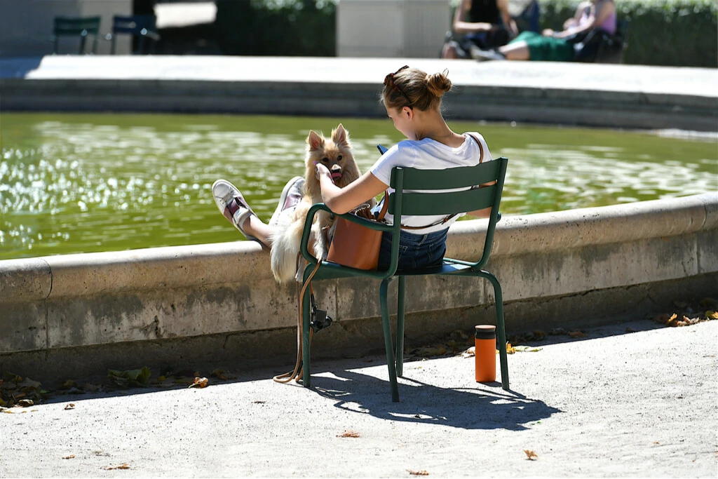 femme et chien jardin du Palais Royal à Paris