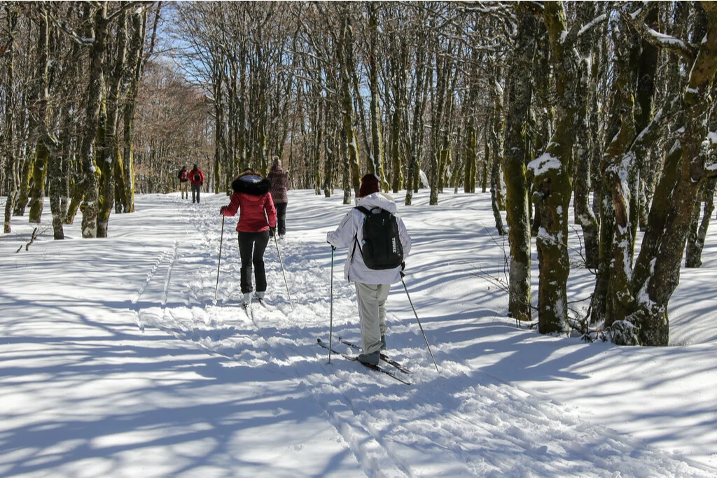 Skieurs dans les Vosges