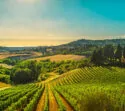 Agrotourismo en Toscane